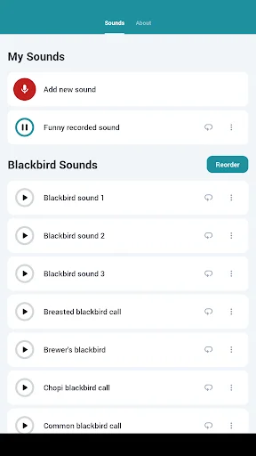 Blackbird Sounds डाउनलोड करें – प्रकृति की मधुर धुनें मुफ्त में - Screenshot 7