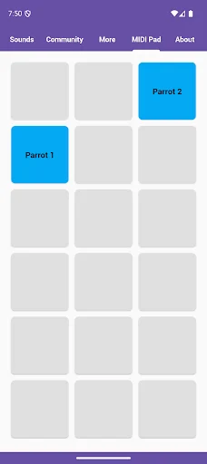 Parrot Sounds डाउनलोड करें – तोते की मधुर आवाज़ें और मज़ेदार ट्यून्स - Screenshot 5