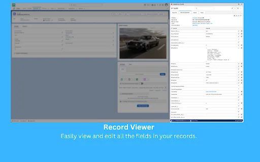 Salesforce Toolkit डाउनलोड करें – Chrome के लिए सर्वश्रेष्ठ Salesforce टूल - Screenshot 5